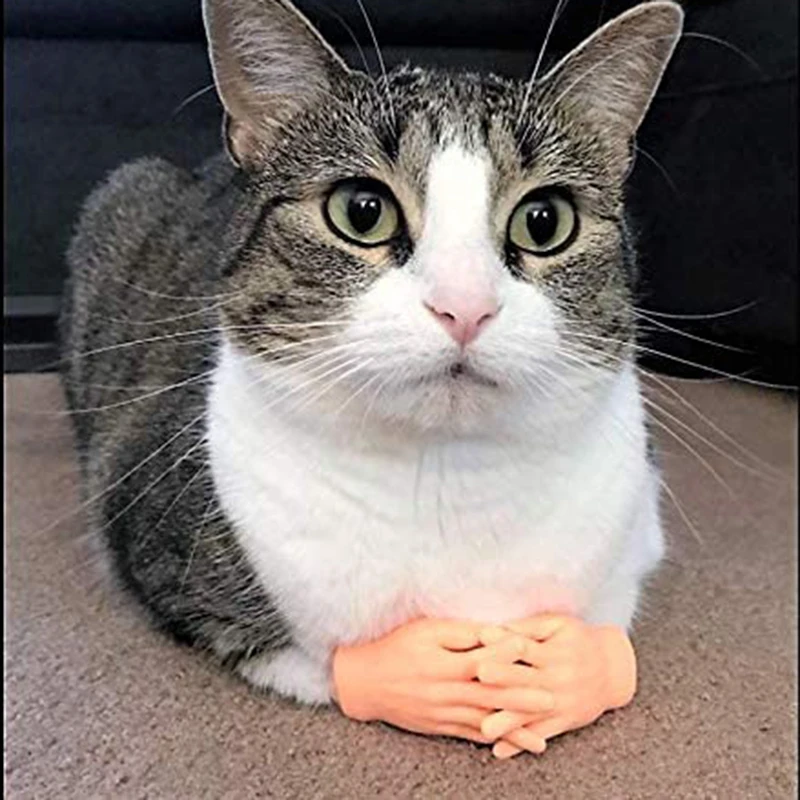 6 นิ้วมือพรีเมี่ยมยางสนุกสมจริง Little Tiny Finger Hands ความแปลกใหม่ Tricky จําลองปาล์มเด็กผู้ใหญ่ Petting Cat ของเล่น