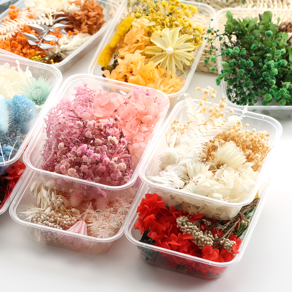 1 Box  Artificial Plants Natural Real Dried Flowers  for Candles Mold Epoxy Resin DIY Making Decoration Home Accessories Crafts
