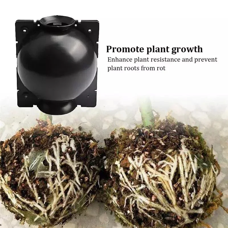10 ชิ้นReusableรากพืชปลูกกล่องตัดGrafting Rooting Ball Garden Rooting Propagation Ball S Breedingอุปกรณ์