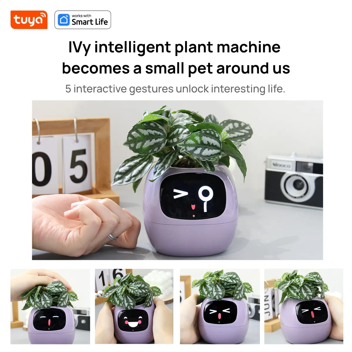 Умный плантатор для Ivy Yellow Tuya с 7 интеллектуальными датчиками и микрочипами