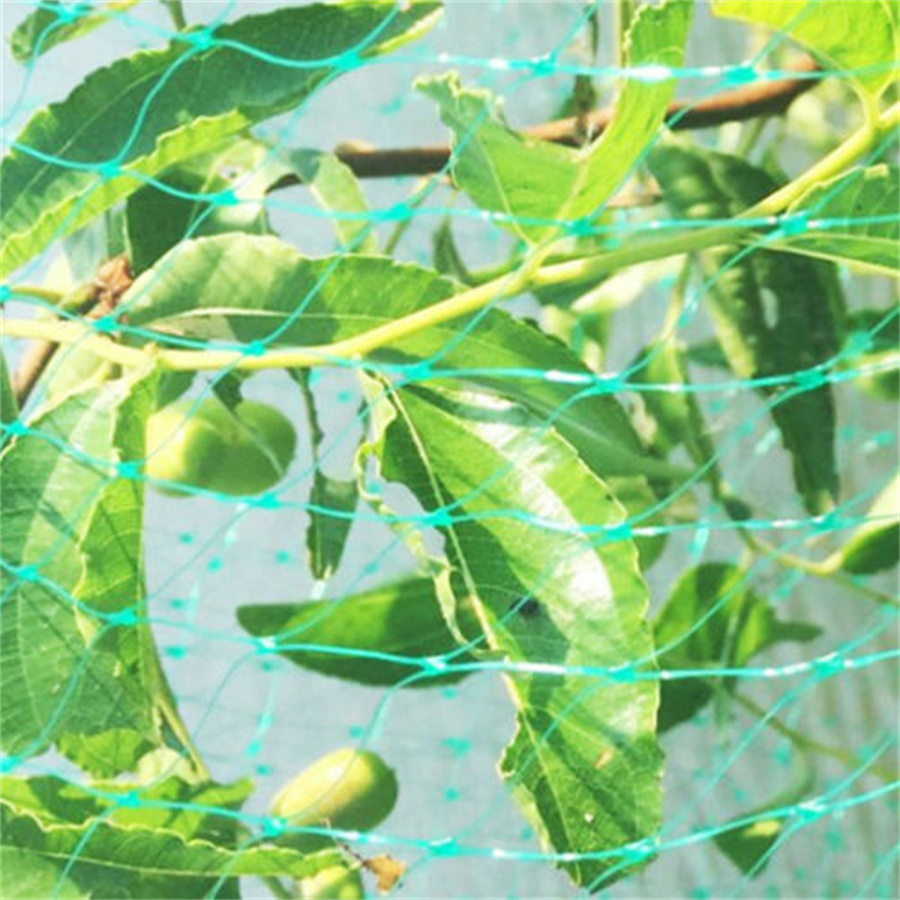 Rete da giardino Rete intrecciata verdeProteggi le piante Frutta Fiori AlberiEscursione elasticizzata Rete durevole ferma uccelliAnni di cervo