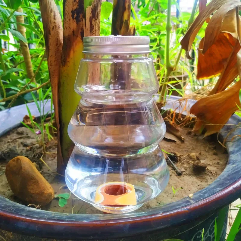 1pc automatische Blumen bewässerungs maschine Haushalts tropfende Einrichtungen saftige Dusche faule Pflanze Bewässerung Magie