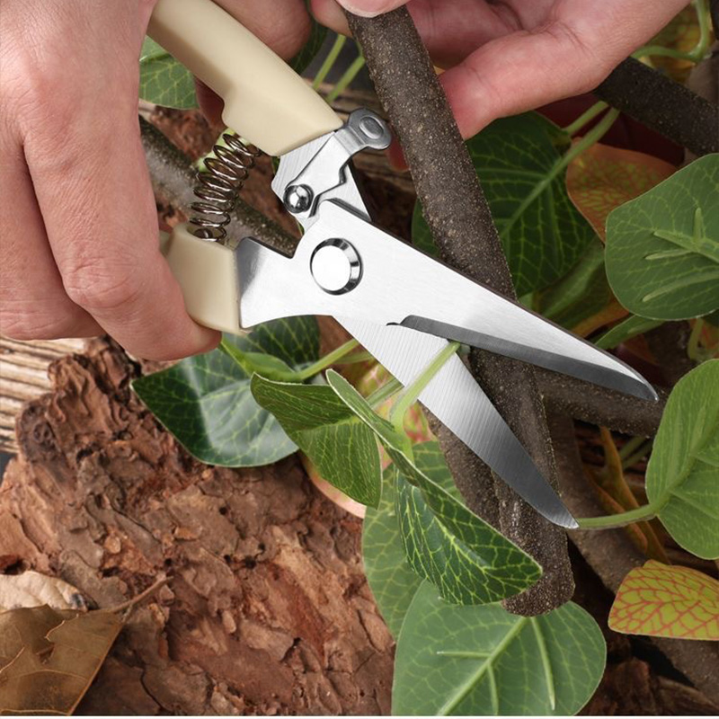 Pruning Knives Fruit Tree Garden Branch Cutting Household Grafting Tools Stainless Steel Scissors for Flower Cutting Arrangement
