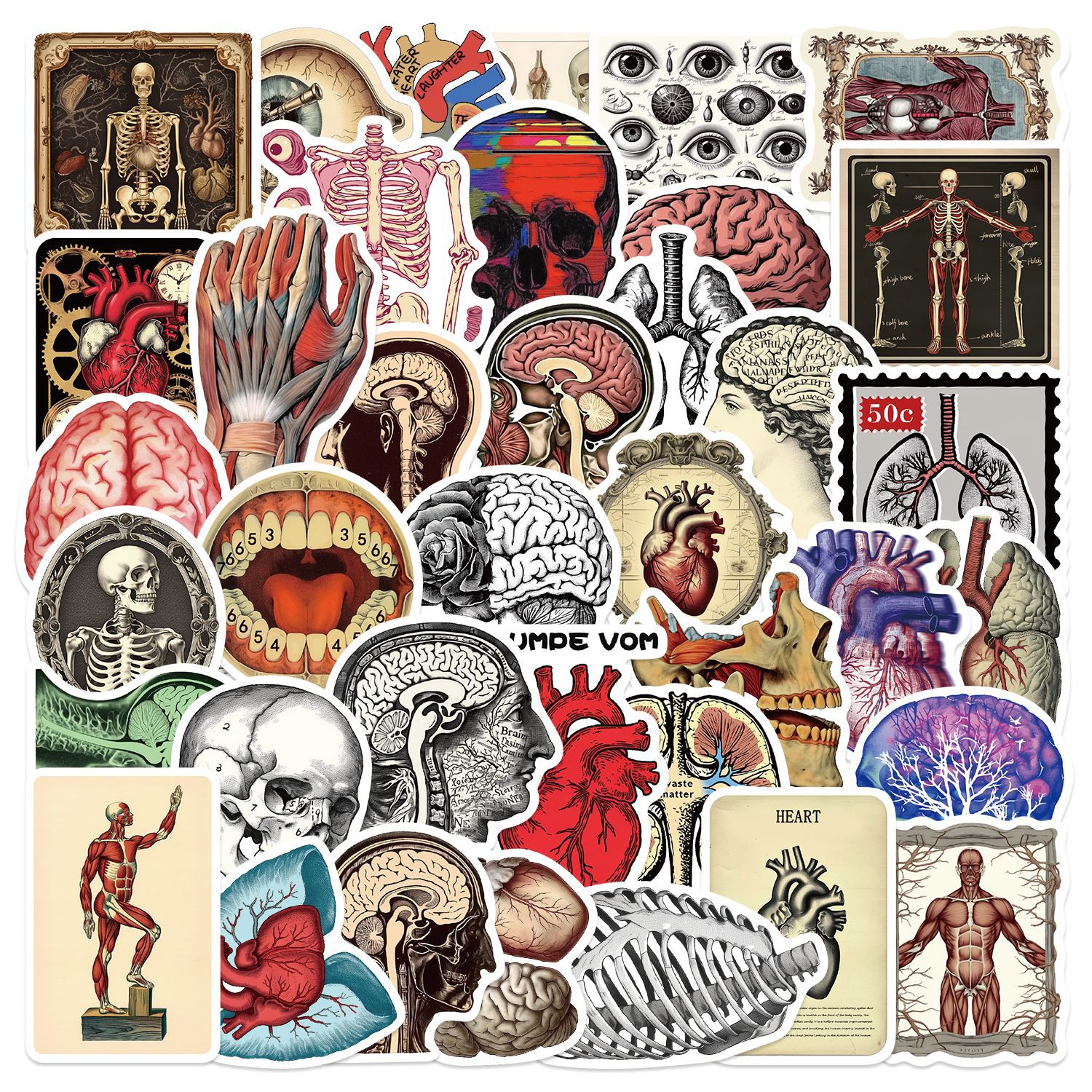 50 Stuks Retro Wetenschappelijke Anatomie Sticker Fysiologie Anatomie Bagage Laptop Auto's PVC Gitaar Koffie Skateboard Notebook Decals