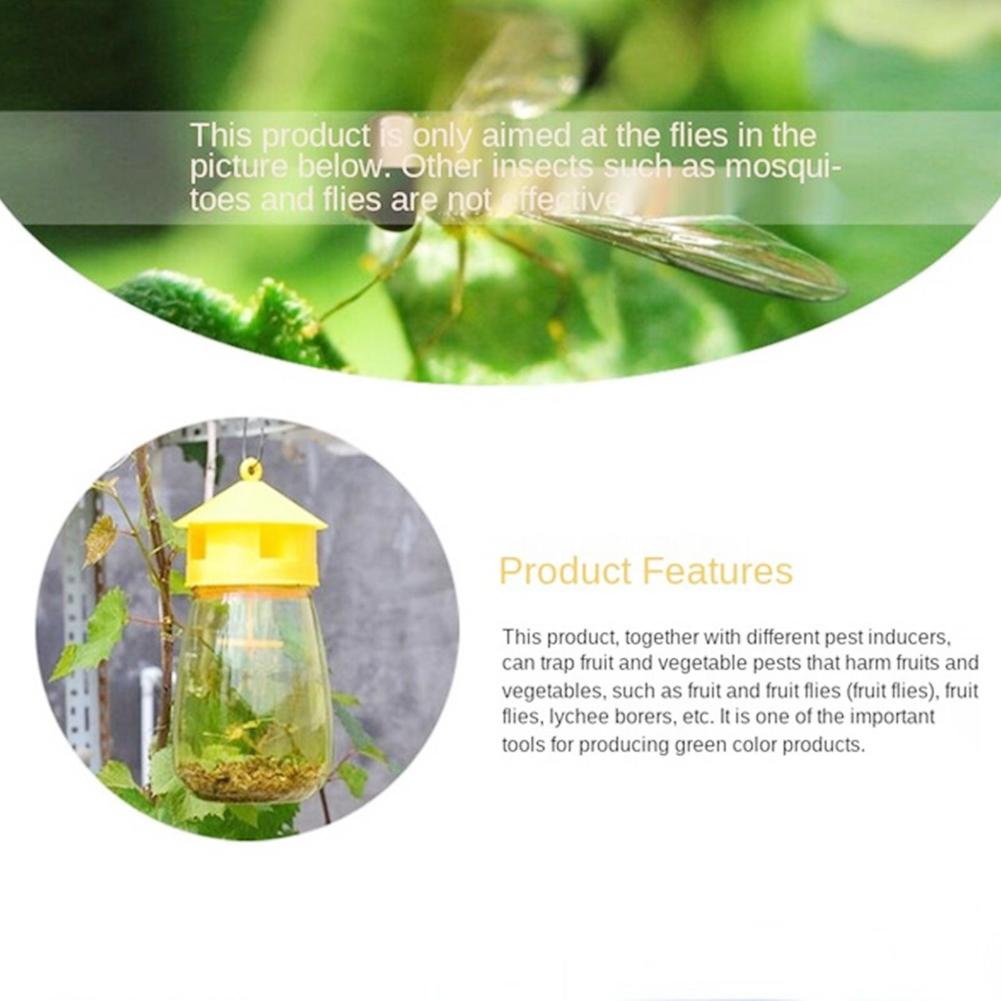 Trampa para moscas de la fruta, herramienta de Control de plagas, de plástico amarillo, para el huerto, 5 unidades