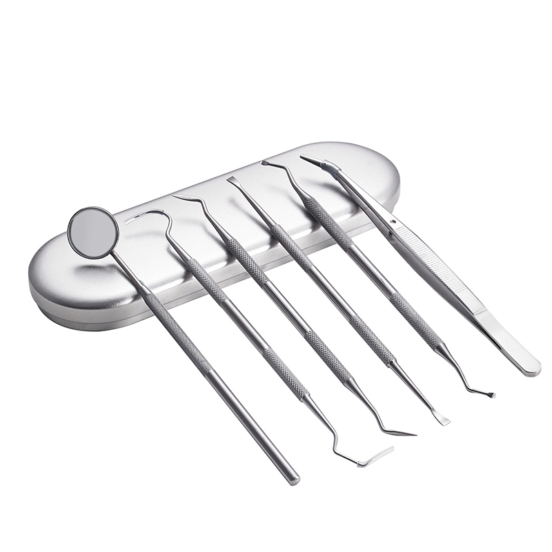 Strumenti per la pulizia del dentista in acciaio inossidabile Specchio dentale Doppia sonda Falce Zappa Detergente per denti Prodotti per strumenti dentali Kit per l'igiene orale