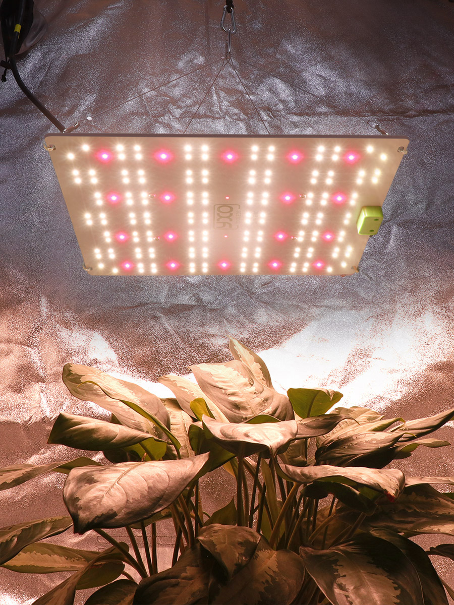 65w 120w lm301h evo led cresce a luz espectro completo sunlike planta interior flor estufa lâmpada crescente 660nm 395nm 730nm