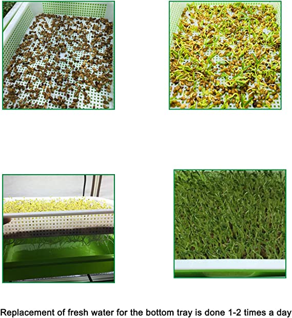 Germination Tray Tray Seed Germination Tray Seedling Tray Wheatgrass Seed Planting Soilless Cultivation Planting Pot