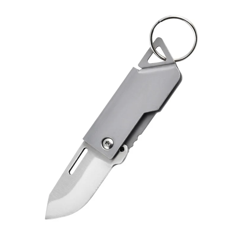 Mini Portable Folding Pocket Knife, Stainless Steel Blade, Keychain, Decoration, Holiday Gift, Travel Camping Tool