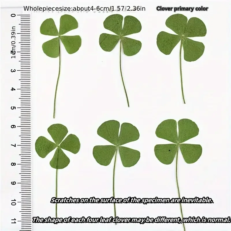 15Pcs Lucky Simulation Four-Leaf Clover Postcards Shamrock Stems Transparent Wishing Cards Ideal for Bookmarks & Decorations