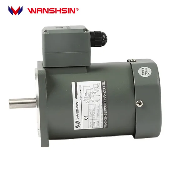 Wanshsin Factory Direct Sales Voltage 40W AC Gear Motor High Torque Speed Reducer