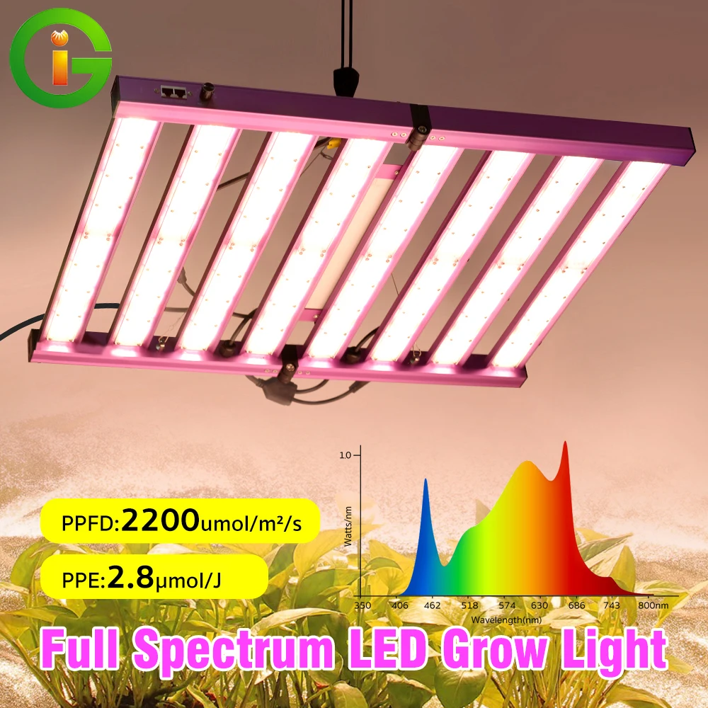 240w 320w 480w Vollspektrum-LED-Wachstums licht lm281b Phyto-Lampe für hydro po nische Pflanzen wachstums beleuchtung mit optischer Linsen abdeckung