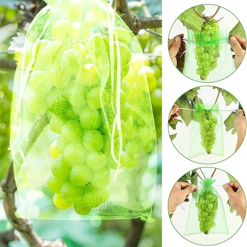 50Pcs Obst Schutz Anti-Vogel Taschen Erdbeere Trauben Mesh Tasche Plante Gemüse Netting Abdeckung Garten Werkzeug
