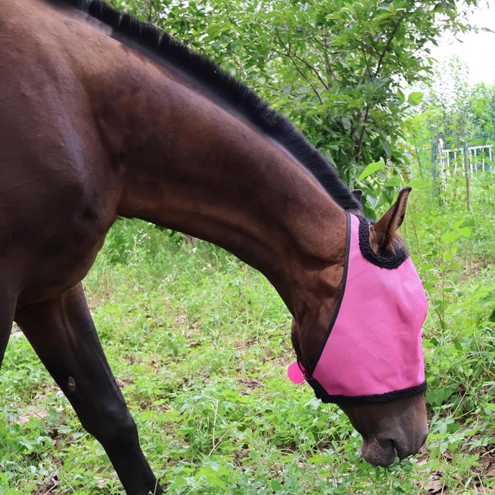 Cavalo mosca rosto guarda meia face proteção uv capa ajustável malha respirável cobertura proteger do verão inseto pragas
