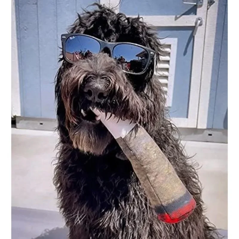 Jouets en peluche grinçants pour chiens moyens, petits et grands, cadeaux d'anniversaire cool et mignons