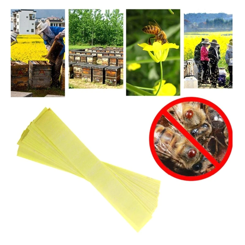 20 Chiếc Ong Acaricide Dải Nuôi Ong Ong Varroa Sát Thủ Kiểm Soát Dịch Hại 85AD