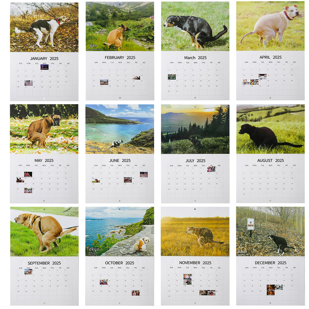 Calendrier mural pour chiots qui font caca de beaux endroits, calendrier mural pour chien drôle, Art mural, Gag, cadeau d'anniversaire, Chris, 2025