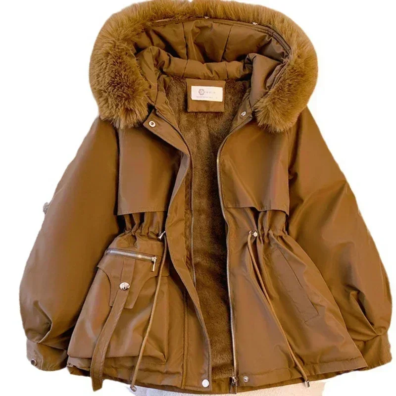 Pai surmonte la nouvelle veste en coton chaud en peluche de couleur unie pour femme 2024, manteau ample épais