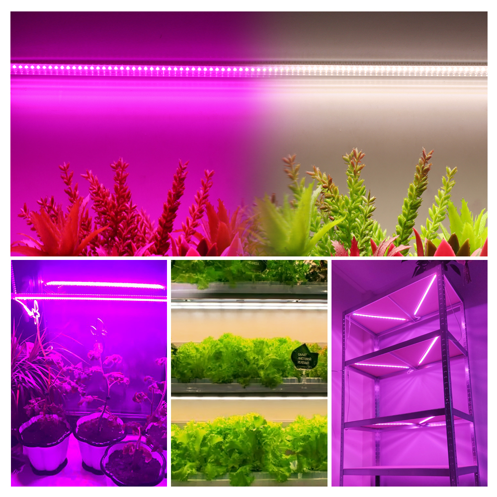 Grow Light 220V Full Spectrum LED Bar Light สําหรับพืช 50 ซม.Phyto โคมไฟสําหรับพืช Veg ดอกไม้เรือนกระจกเต็นท์ 4000K 380-780nm