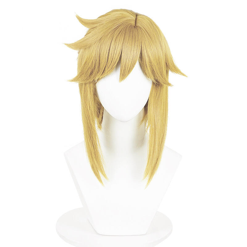 Anime Link Cosplay Perücken Prinzessin Blonde Braun Beständig Synthetische 29 cm Haar Halloween Party Link Perücken + Elf Ohren Ohrringe anzug