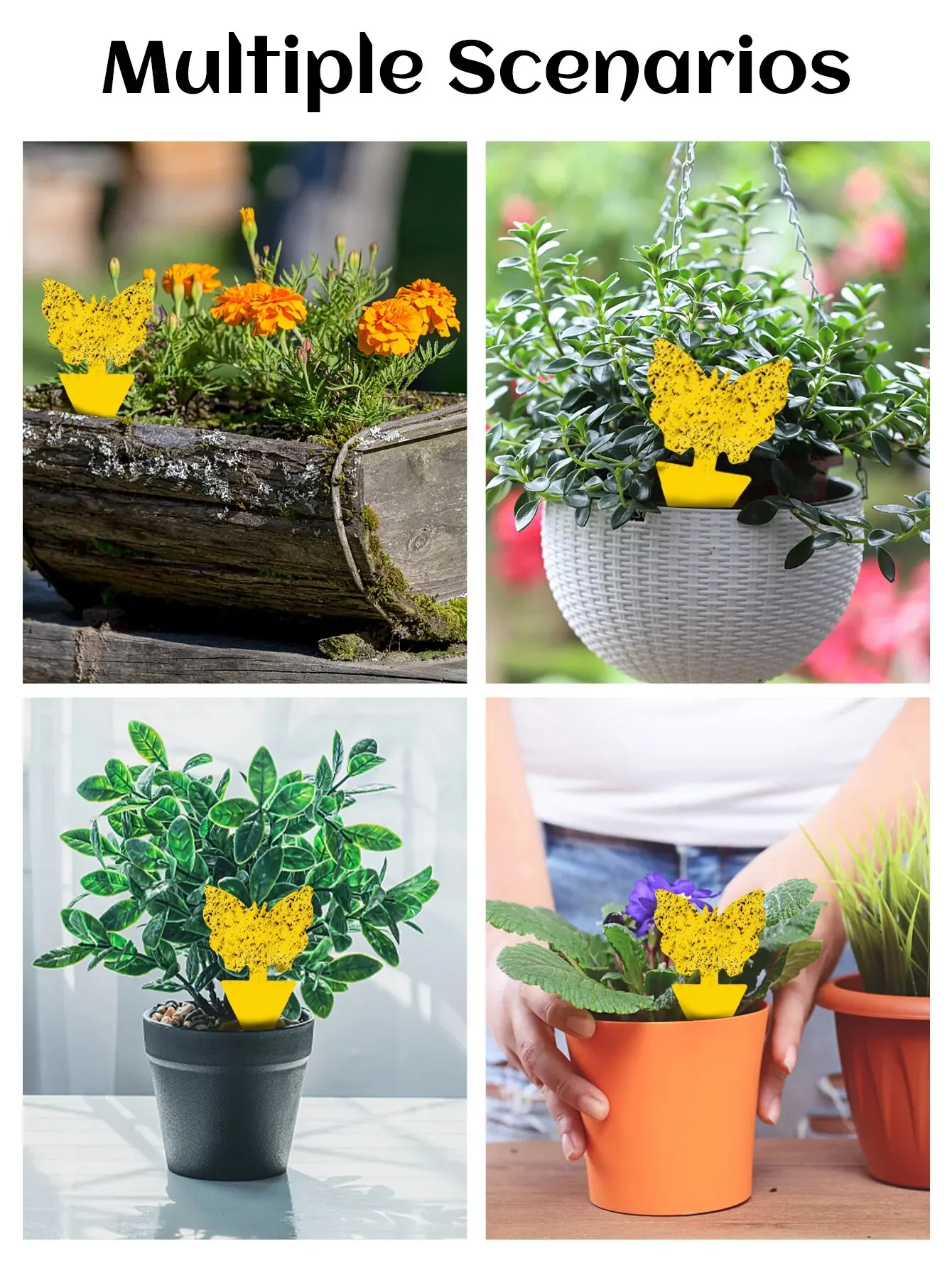 36 ชิ้น/เซ็ต กับดักแมลงสีเหลือง, กับดักดอกไม้ในสวน, กับดักเพื่อกําจัดศัตรูพืช, แมลงบินขนาดเล็ก, บินสีดําขนาดเล็ก