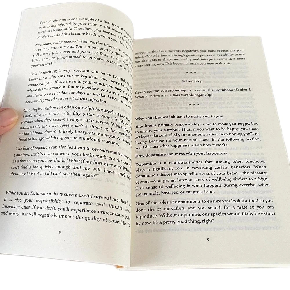Meistern Sie Ihre Emotionen. Englischer Originalroman von Thibaut Meurisse. Überwindet Negativität und verwalten Sie Ihre Gefühle. Buch