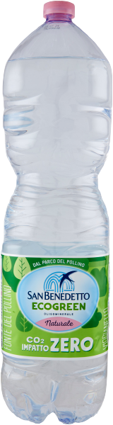 Kohlensäure freies Mineral wasser 2l-san benedetto
