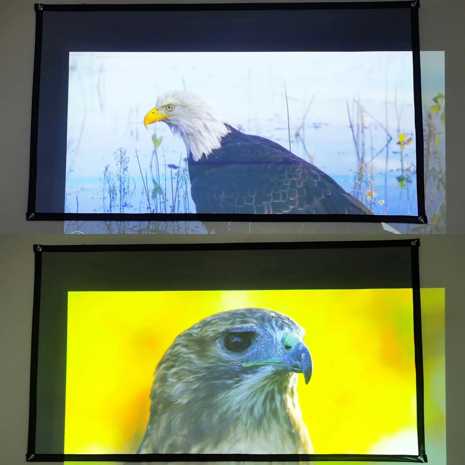 Schermo per proiettore 2025 100-133 pollici metallo grigio anti-luce 16:9 bordo nero portatile con fori schermo per proiezione esterna domestica