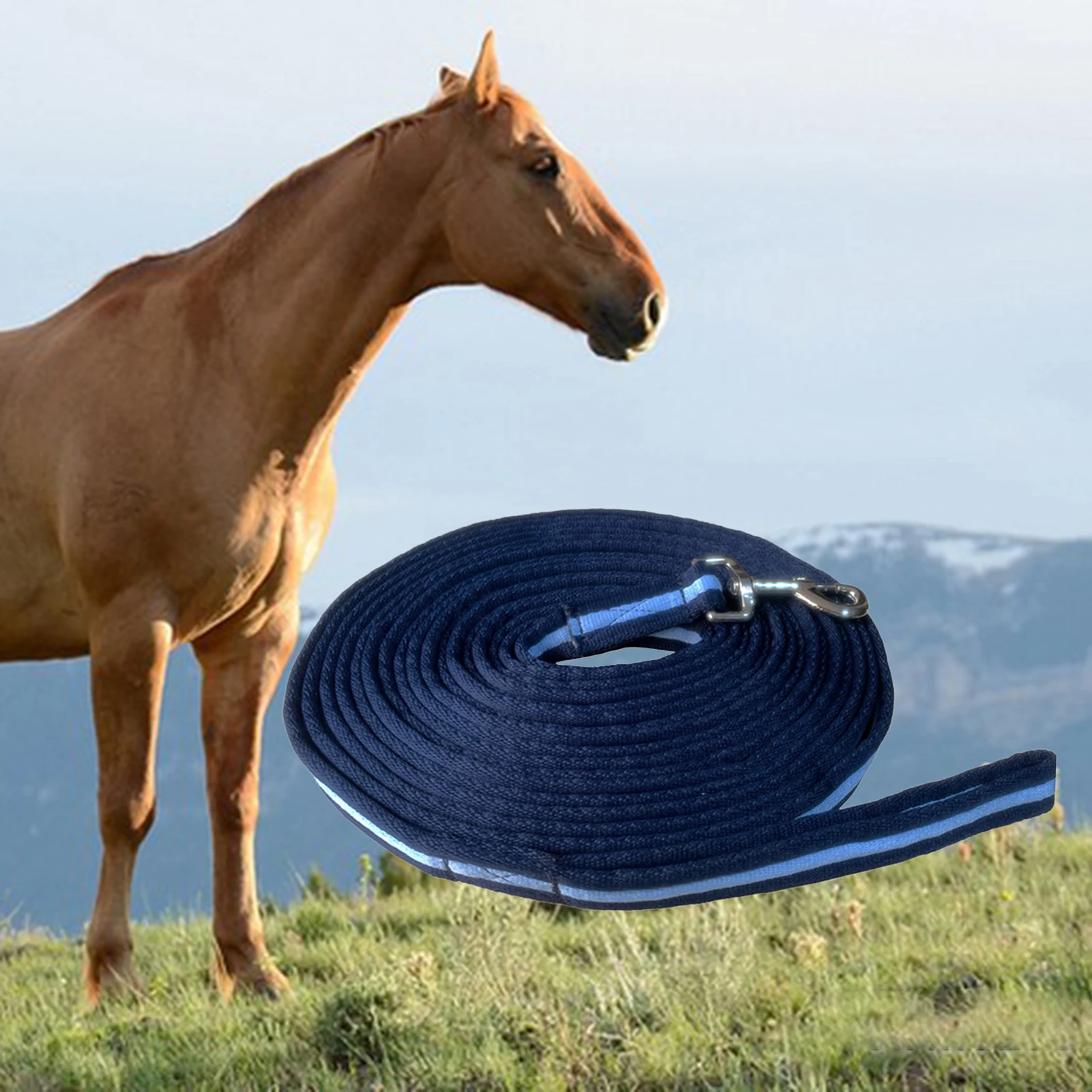 8m Cavallo Corda di Piombo Lunge Line Forte Addensato Guinzaglio di Addestramento per Cavalli per Cani Addensato Resistente Forte Obedienza Recall Corda