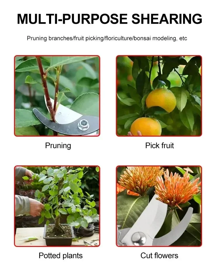 Garden Pruning Shears: Multifunctional Pruner with Stainless Steel Blade for Trimming, Gardening & More!
