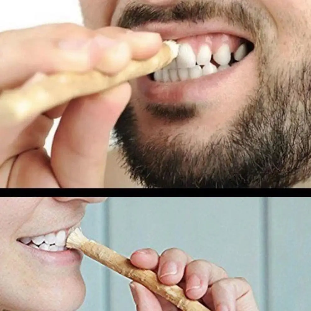 Miswak Siwak-cepillo de dientes Natural Misvak, blanqueador de dientes Manual tradicional Arak Miswaak, viaje suave, ley antigua de Oriente Medio