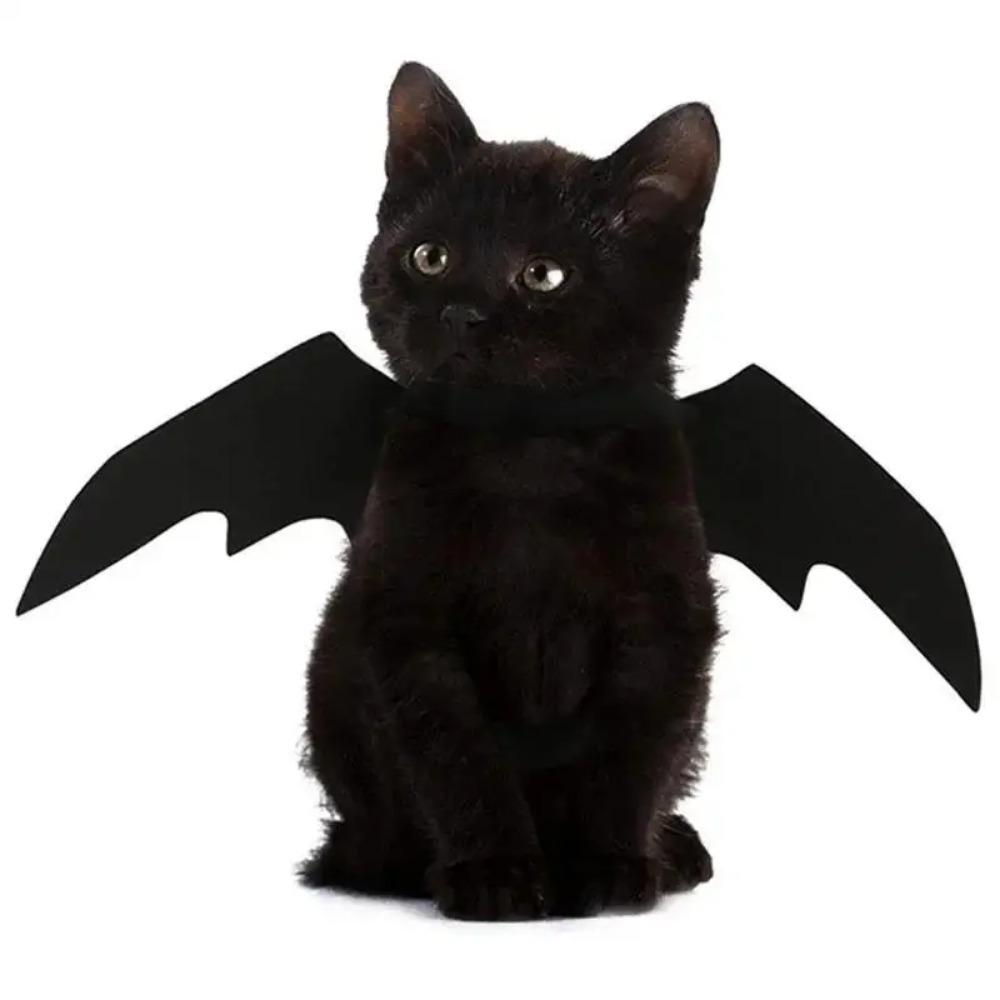 Halloween Bat Wing Costume for Pets, Puppy Collar Leads Cosplay Bat Costume, Halloween Party Decoration
