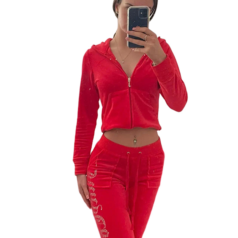 Y2k ベルベットトラックスーツ春秋の女性暖かい 2 ピースベルベットトラックスーツ石積みクラウントラックスーツカジュアルエレガントなレディース春ジャケット