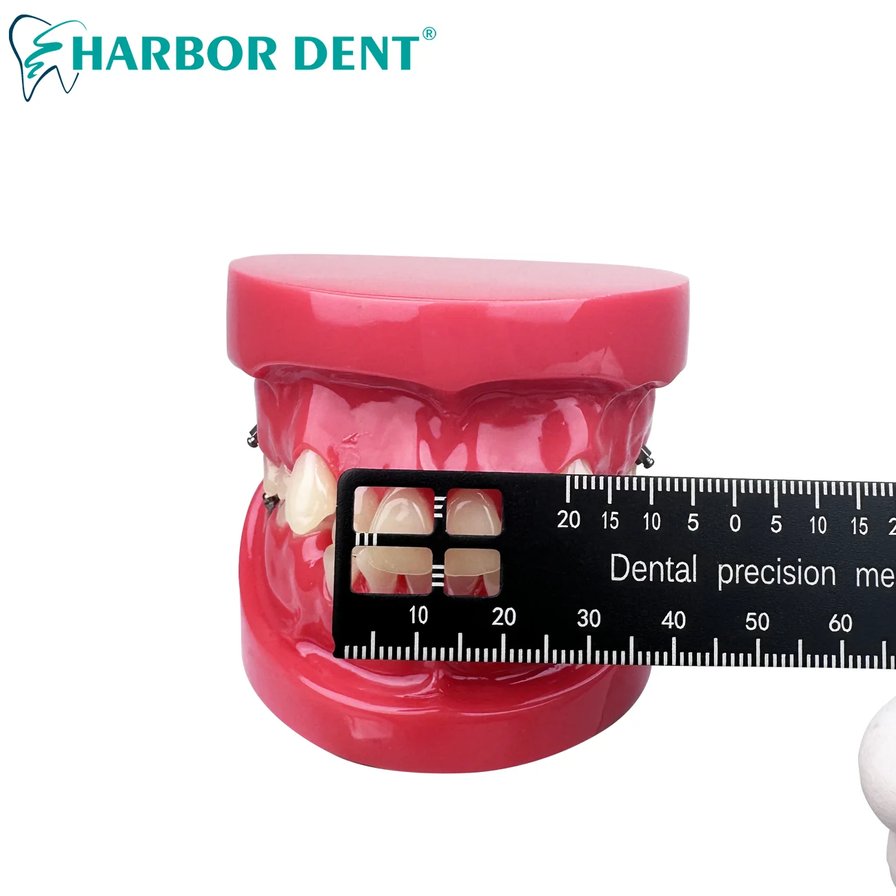 1Pc Dental Precision Measuring Ruler Tooth Gap Photography Medical Tool Span Measure Scale Endodontic Instruments