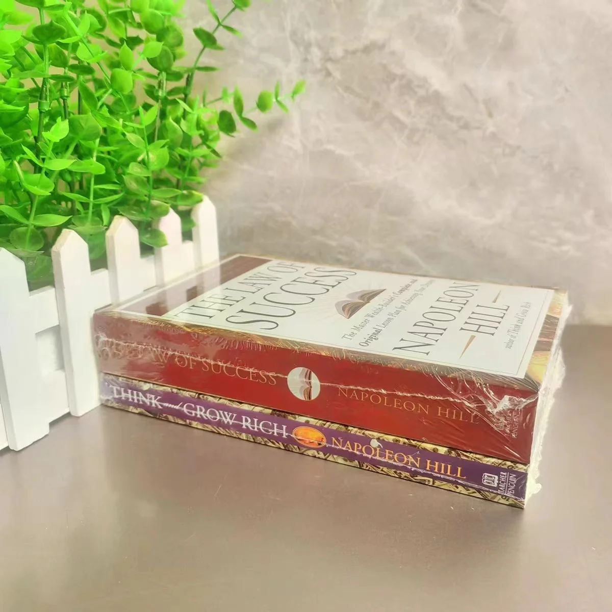 Napoleão Hill Pense e cresce rico e a lei do sucesso Livros de leitura para adultos