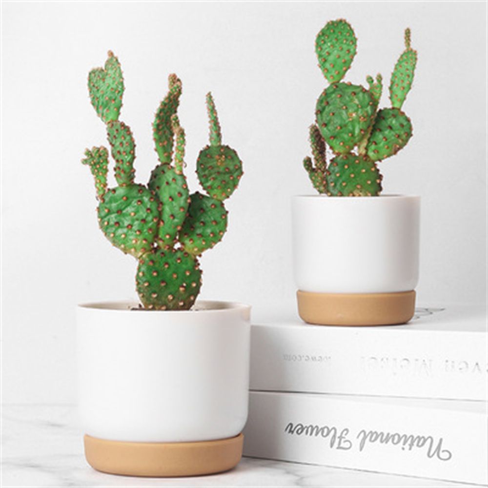 Vaso da fiori autoirrigante stoccaggio automatico dell'assorbimento d'acqua vaso per fioriera succulenta rotondo a doppio strato vaso da fiori per piante verdi piccole