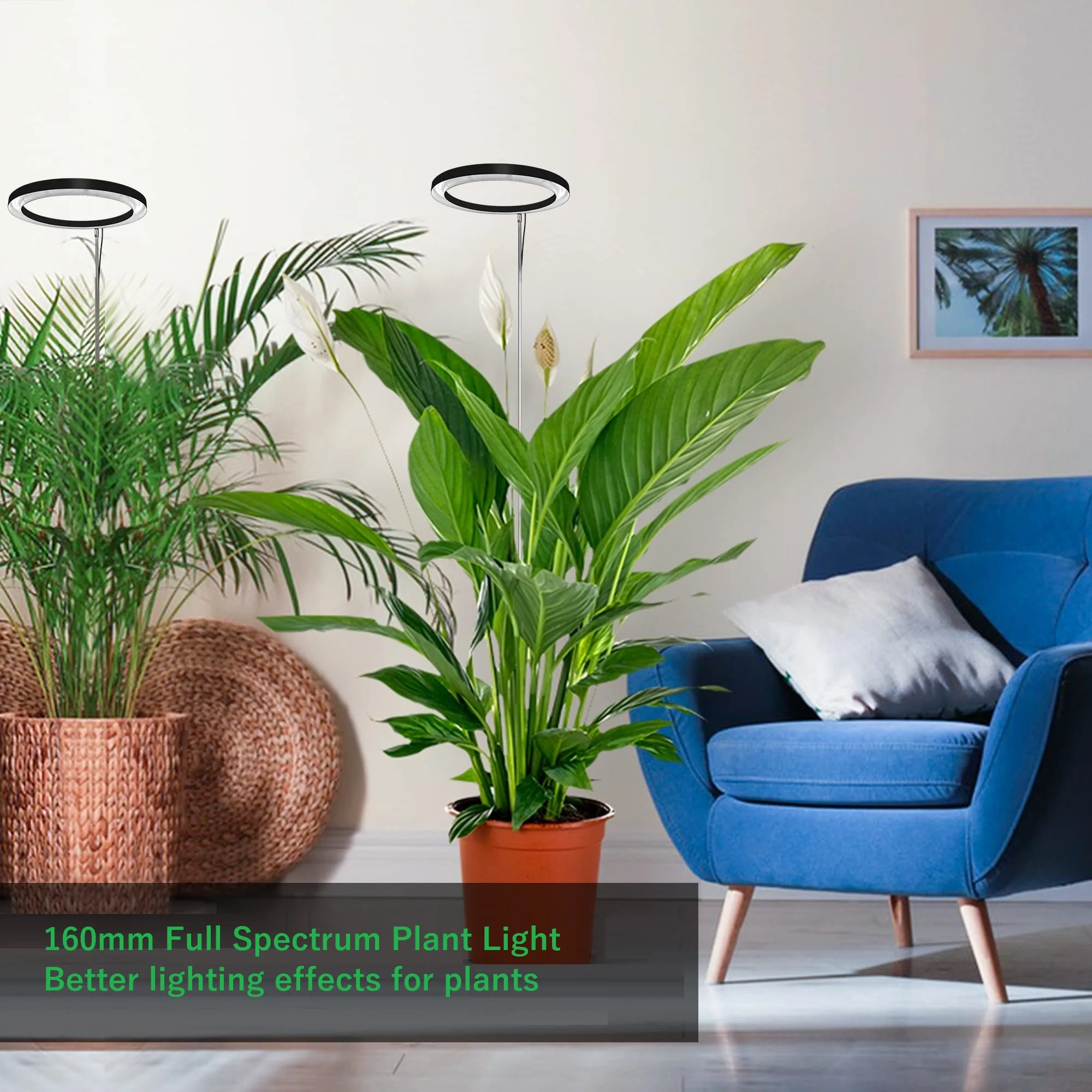 Museluce Grow Lights for Indoor Plants, 72 LEDs Full Spectrum Grow Lamp,Auto 3/9/12H Timer, 34-160cm Height Adjustable