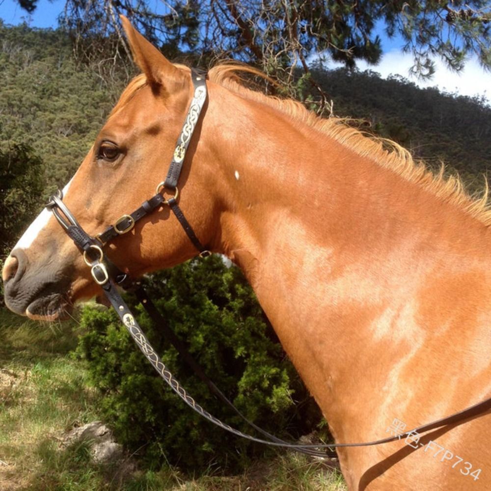 PU หนังม้า Bridle Halters หัวเข็มขัดโลหะสบายม้าผ้าม่านปรับปกป้องหนังม้า Horse Rein Harness