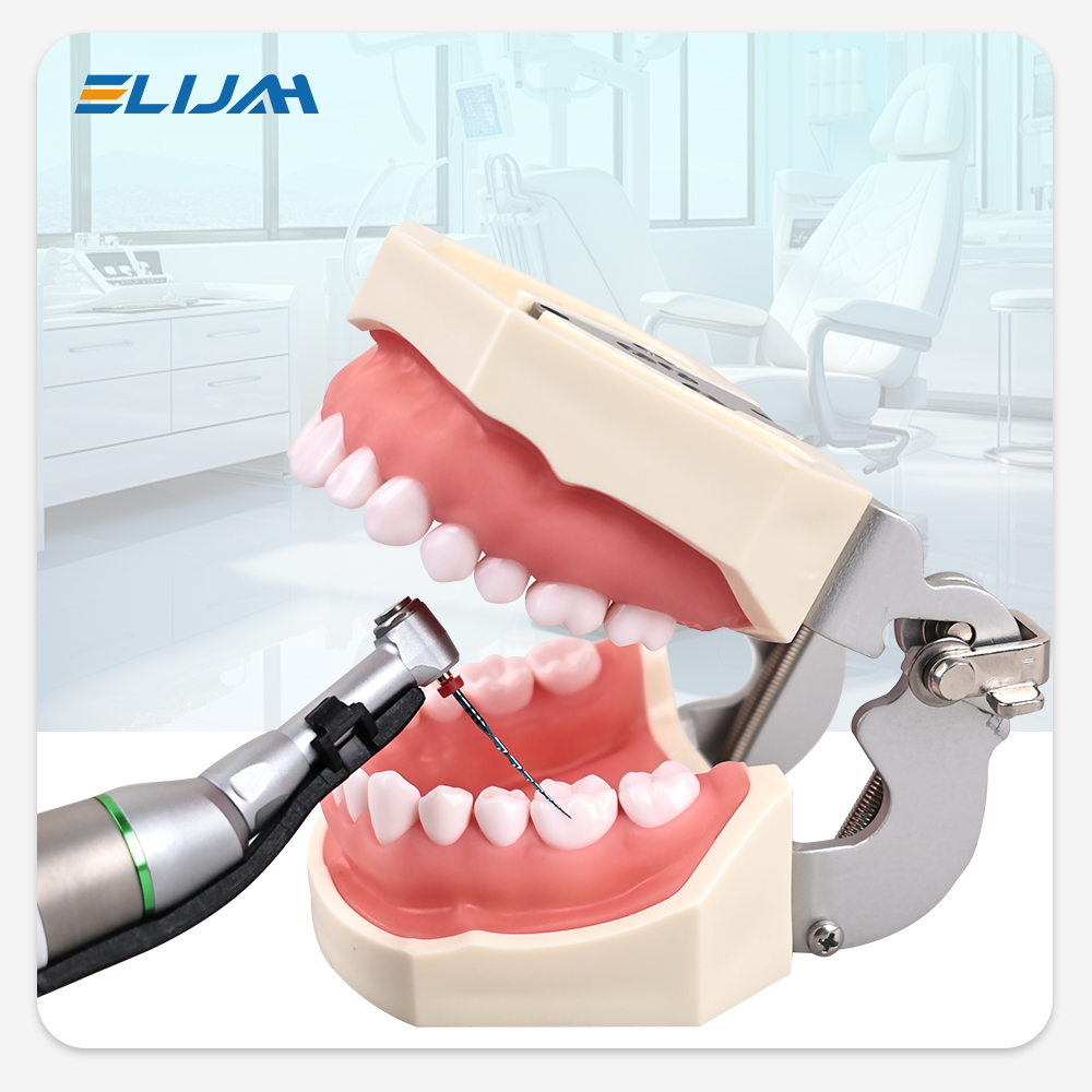 6Pcs/Box 21/25/31mm Dental Reciprocating Blue Endodontic Files Denspay R25/40/50 Only One Engine Use Niti Rotary Root Canal File