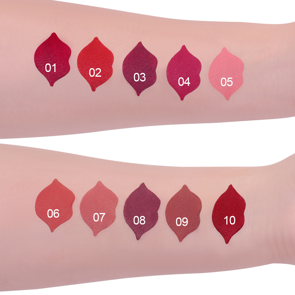 10 Farben langlebiger matter Lippenstift mit reicher Samt farbe und wasserdichten Formel-Valentinstag geschenken