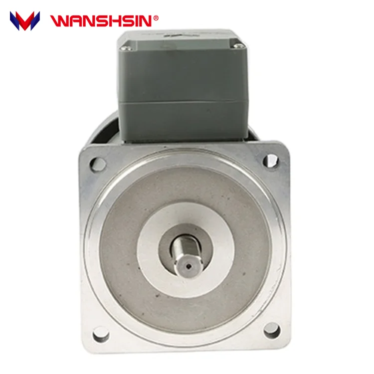 Wanshsin Factory Direct Sales Voltage 40W AC Gear Motor High Torque Speed Reducer