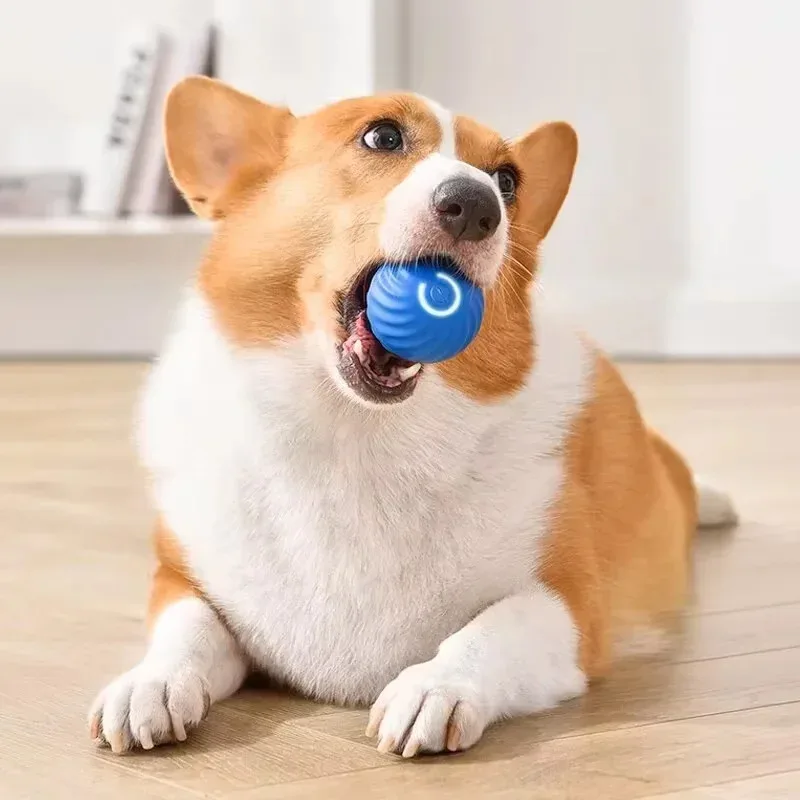 1 stks Hondenspeelgoed Intelligente Zwaartekracht Sprongbal Oplaadbare Bijtvaste Rollende Bal Kat En Hond Chase Interactief Huisdier Speelgoed