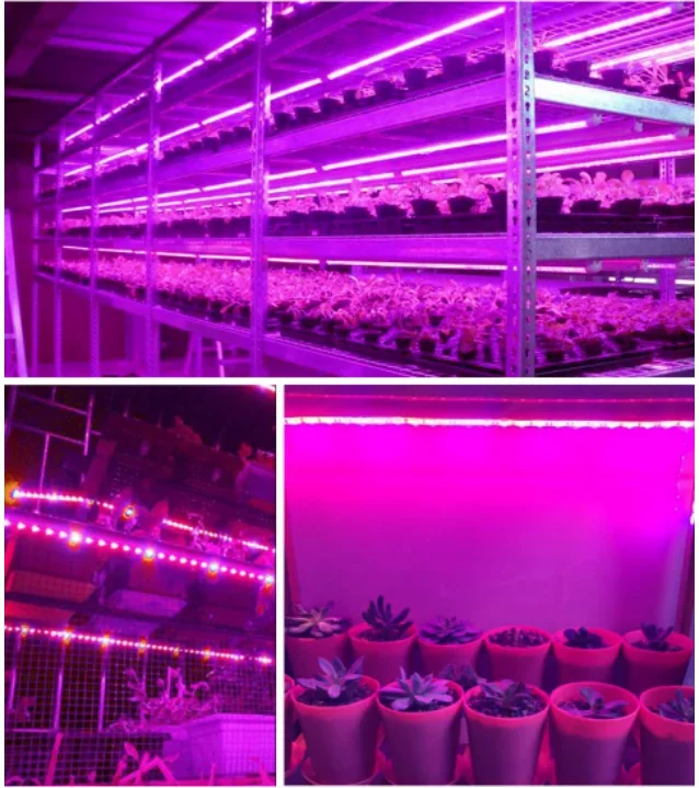 Lâmpada led para cultivo em estufas e hidropônicos, luz com espectro completo, usb, chip phyto 0.5m, 1m, 2m, 2835