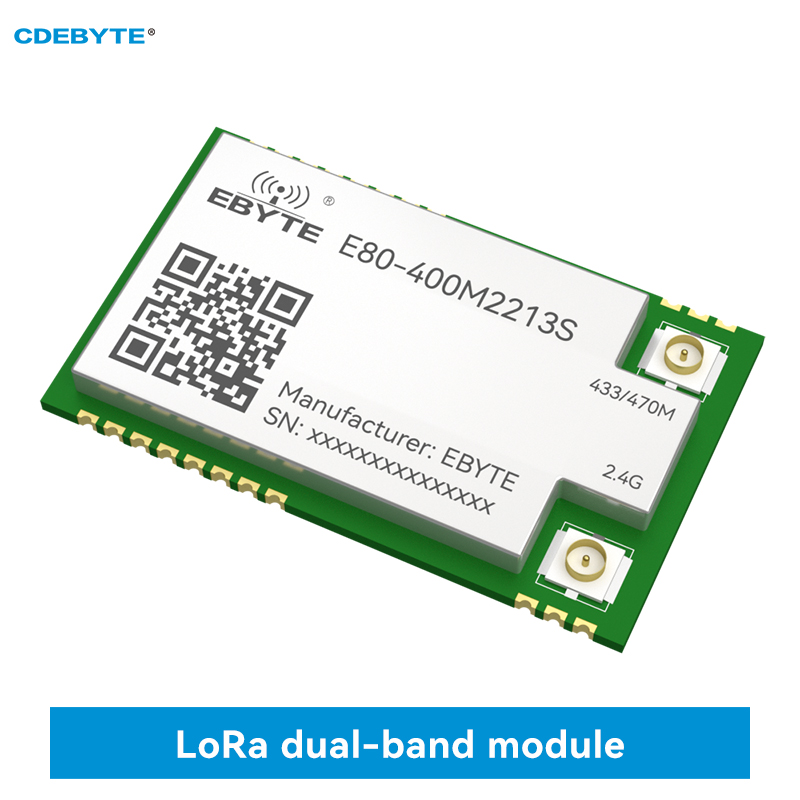 Lr1121 lora Spread Spectrum Modul Dualband 433MHz 2,4g smd tcxo cdebyte E80-400M2213S spi rf Modul Sub-g Funkmodul