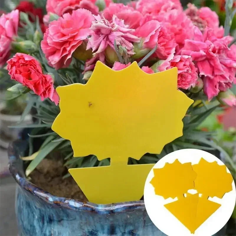 36 peças/set de armadilhas de insetos amarelas, armadilhas de flores de jardim, armadilhas para eliminar pragas, pequenos insetos voadores, pequenos voadores pretos