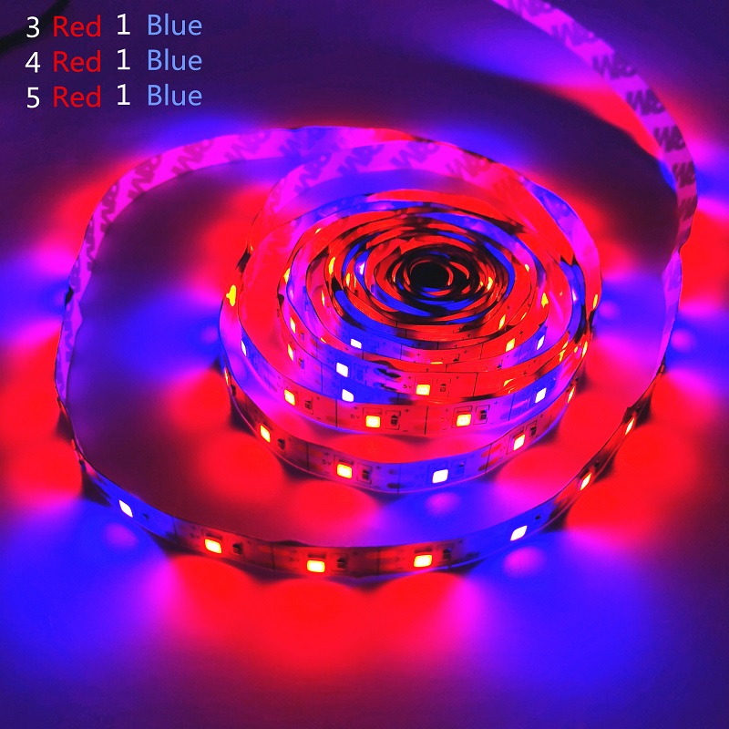 LED Grow Light Full Spectrum USB Grow Light Strip 0.5m 1m 2m 3m 2835 Chip LED Phyto Lamp Plants Flowers Greenhouse Hydroponic