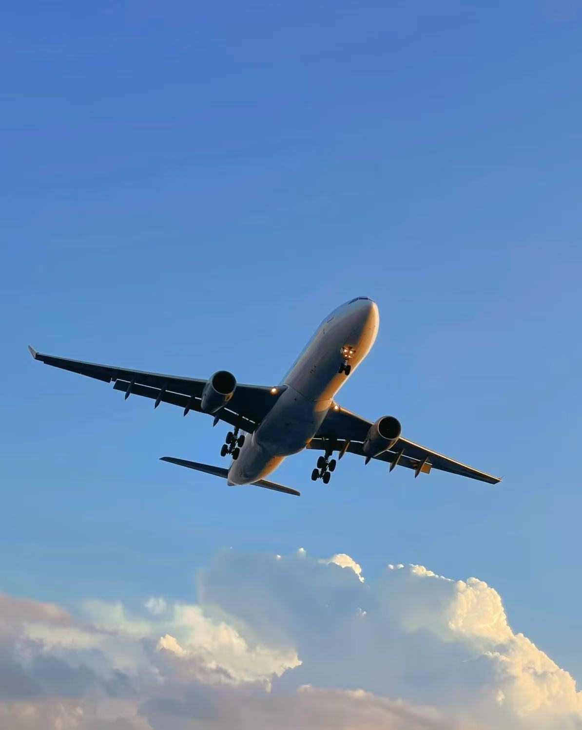 Seguimiento logística