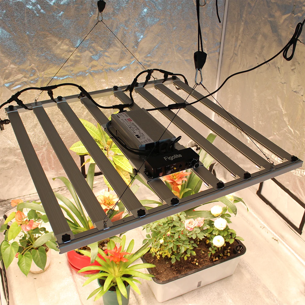 2024 ล่าสุด 240W 320W 480W 600W Samsung LM301H EVO V5 LED Grow light Bar พร้อม APP Smart controller และ Meanwell driver