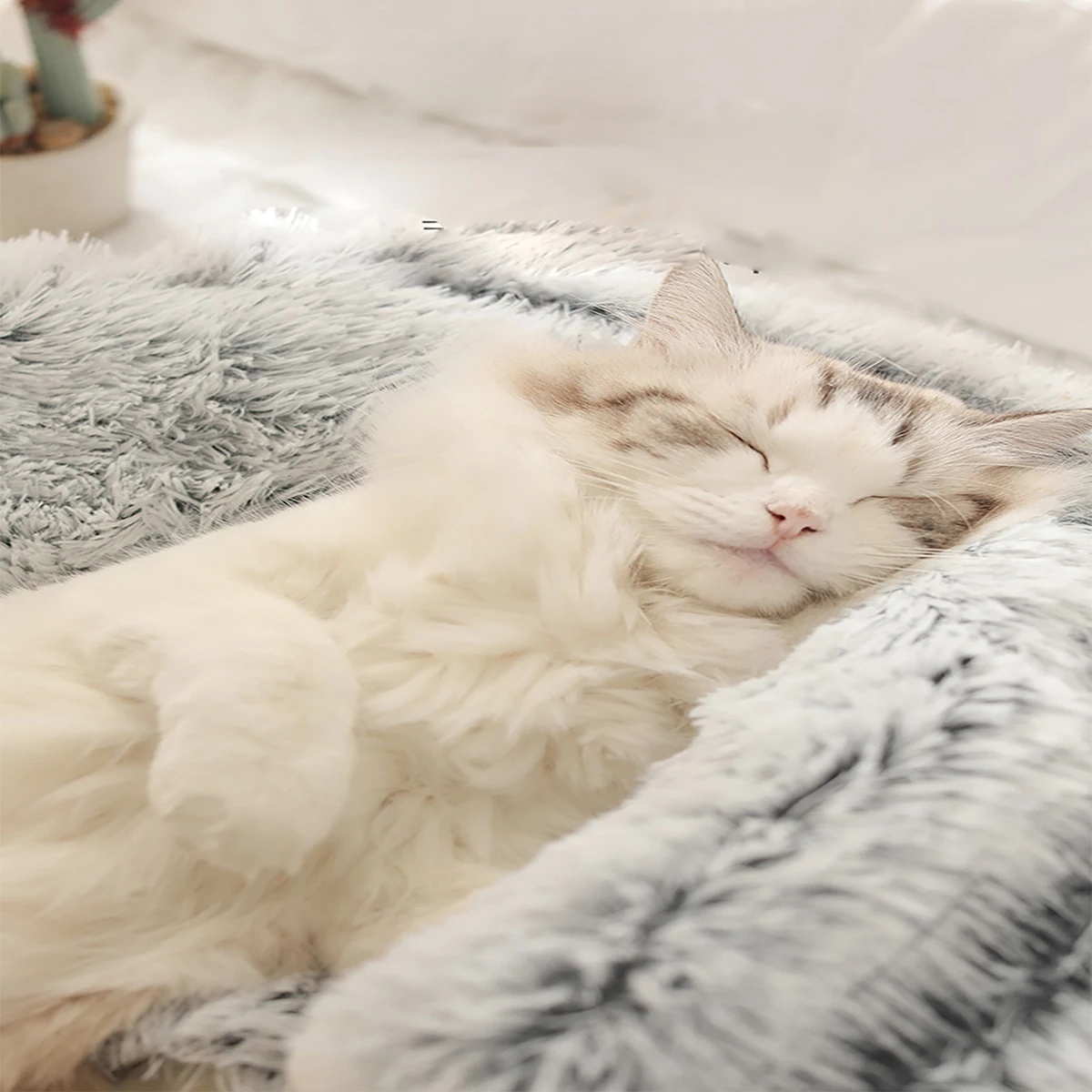 Plüsch-Haustierbett mit Kapuze, rund, flauschig, weich, Katzenbett, Haustierkissen, warm, für Katzen und Hunde, 2-in-1, Schlafnest, Höhle für kleine Hunde