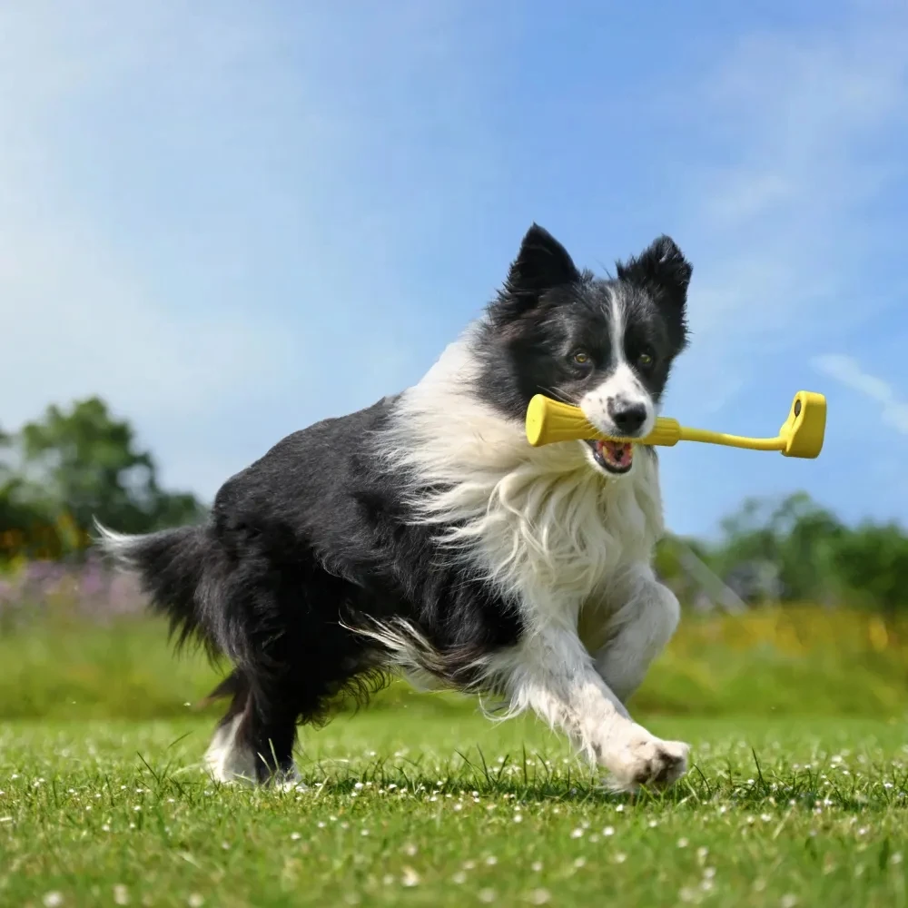 Fetch Stick For Pet and Dog Original Accessories For Insta 360 GO3 \ GO 3S